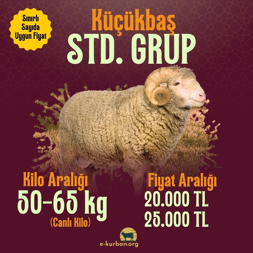 Küçükbaş Kurban Fiyatları 2025